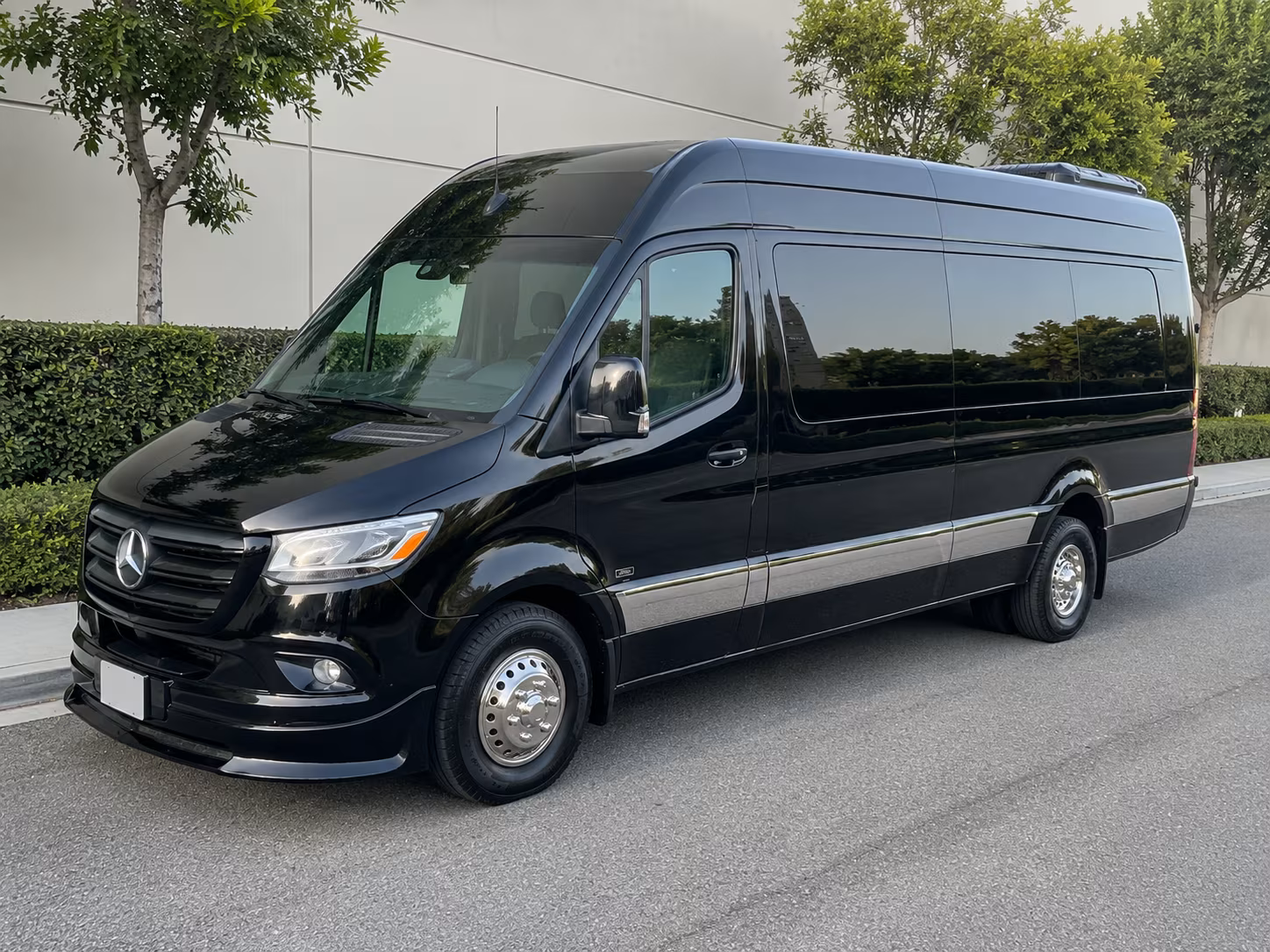 14 Passenger Sprinter Limo