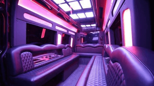 Interior of Charter Bus Company Greenville's 18 Passenger Party Bus in Greenville